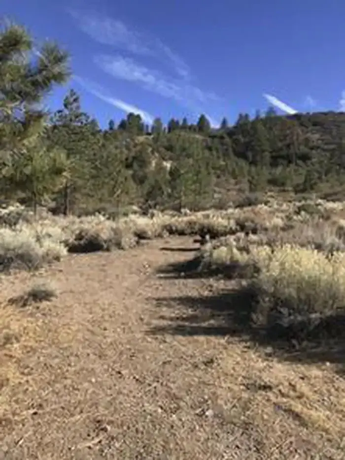Chuchupate Campground