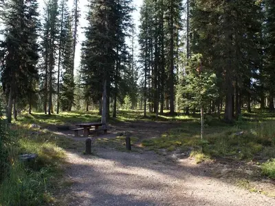 Meadows Campground site 6 table, fire pit and trees