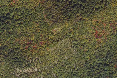 Camp site