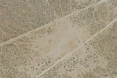 Camp site
