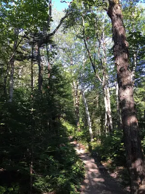 2017-07-26 07 41 44 View west along the Chimney Pond Trail just west of its junction with the Russell Pond Trail and the Sandy Stream Pond Trail in Baxter State Park, Piscataquis County, Maine