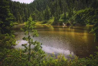 Summit Lake Trail 1177 — 014 (Twin Lake)