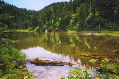 Summit Lake Trail 1177 — 013 (Twin Lake)