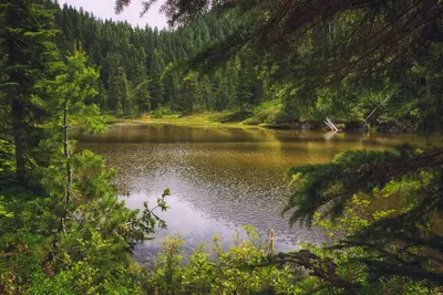 Summit Lake Trail 1177 — 015 (Twin Lake)
