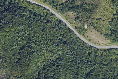 Silvermine Group Campground