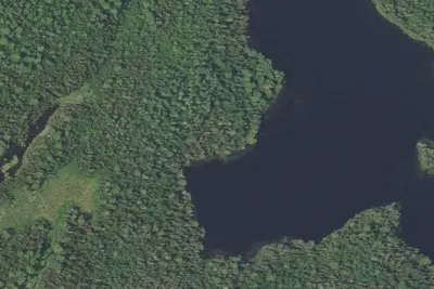 Camp site