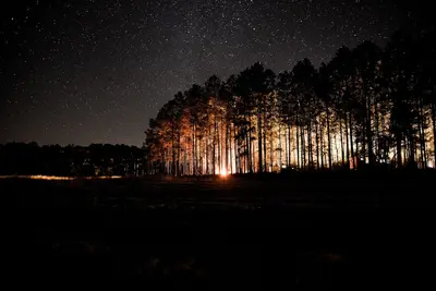 Campground at night - panoramio