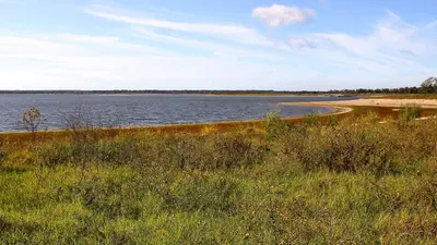 Lake View from Lake Somerville SP Texas 2023
