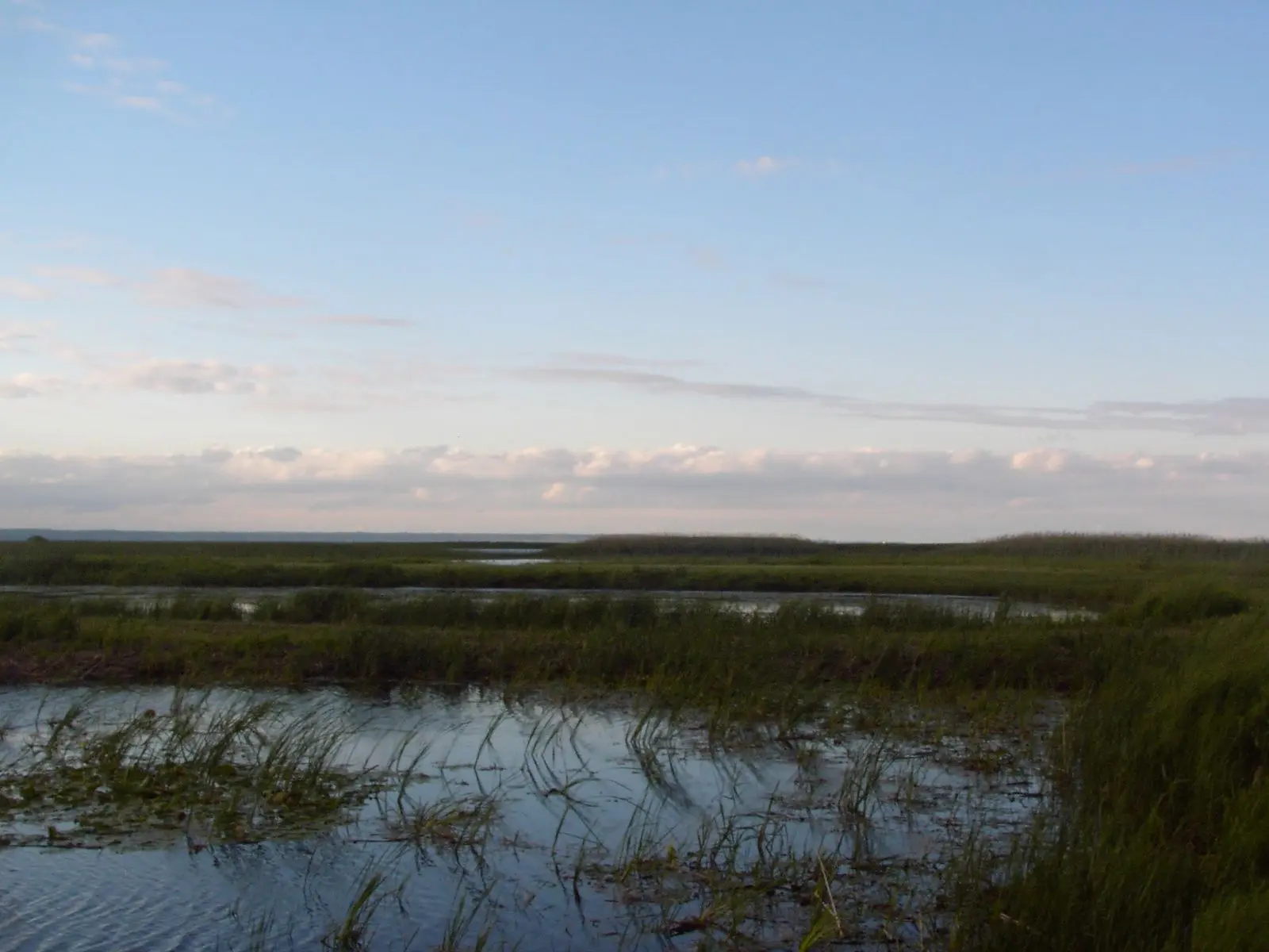 Photo of Long Point Provincial Park