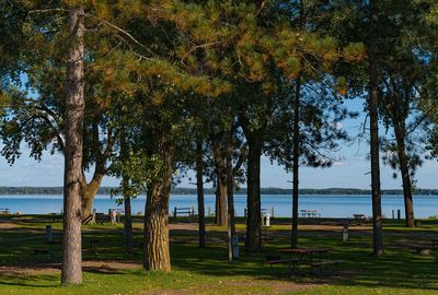 Shell Lake Municipal Campground - Wisconsin (49044939862)