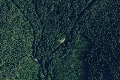 Rd 215 Site 14