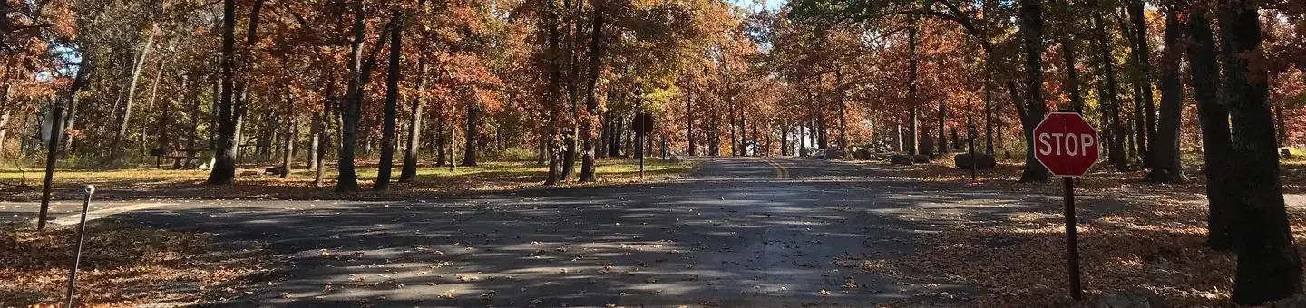 Spencer Creek in the fall