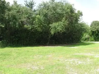 Pinecrest Group Campground View