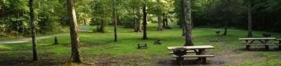 Mcnabb Group Camp