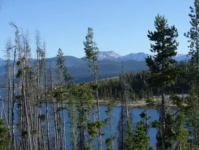 Piney Campground and Boat Launch