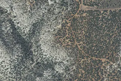 Camp site
