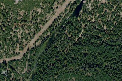 Camp site