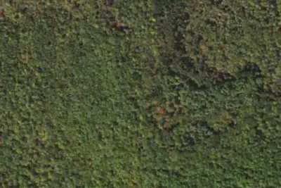 Camp site