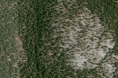 Lake Camp