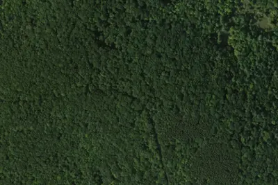 Camp site (New York State Department of Environmental Conservation)