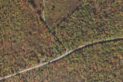 Sproul Forest SS025 Campsite
