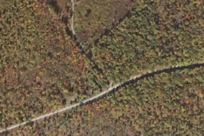 Sproul Forest SS025 Campsite