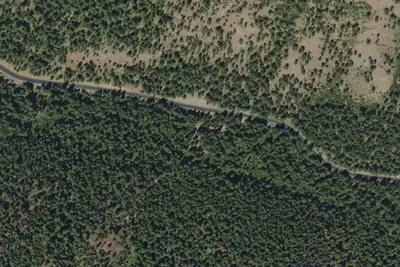 Primitive Campsite