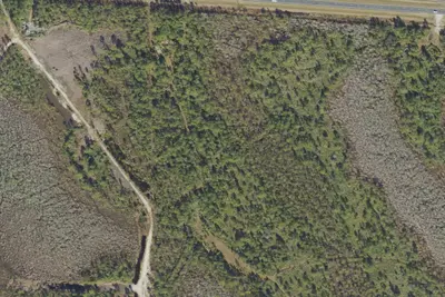 Camp site