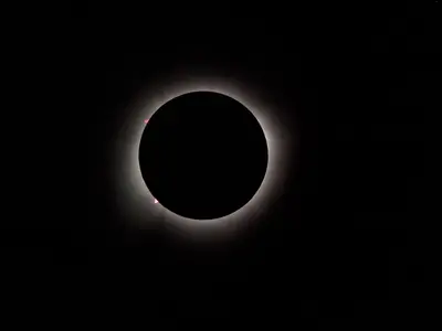 2024-04-08 Eclipse over Abbott afocal