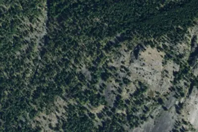 Lost Horse 006