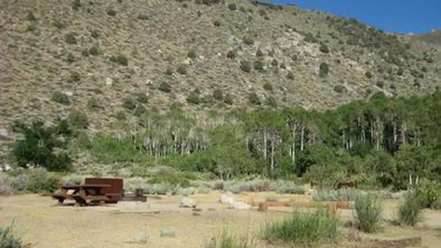 A campsite with a picnic table and bear box in a desert campground