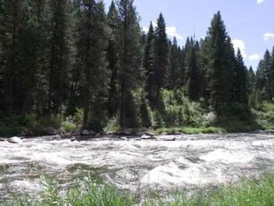 Cold Springs Campground - Boise NF (ID)