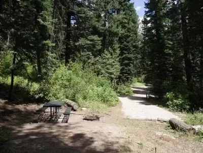 COLD SPRINGS CAMPGROUND--Campsite