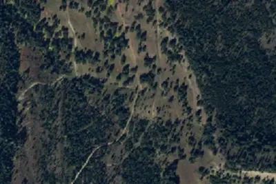 Fr3138-14