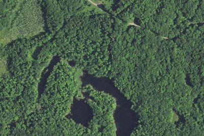 Camp site