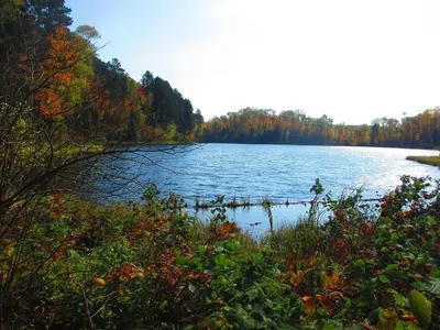 Suomi Hills - panoramio