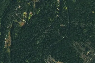 Camp site