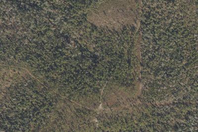 Torreya Challenge Primitive Camp