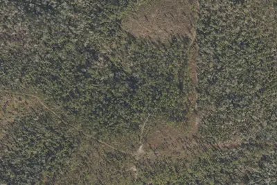 Torreya Challenge Primitive Camp