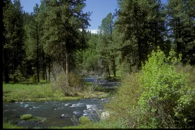 John Day River-Malheur (23566489369)