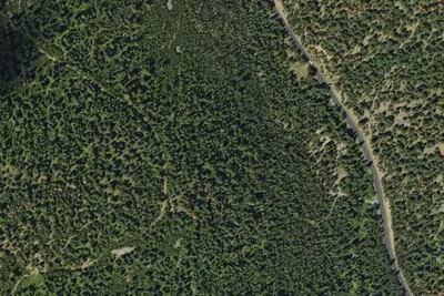 Camp site