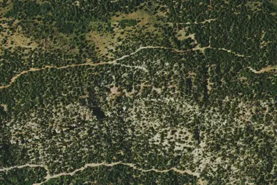 Camp site