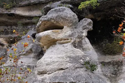 Lost Maples Monkey Rock 2021