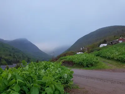 Kanada 2017 (41959698695)