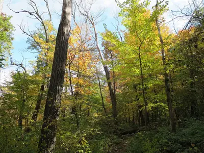 Ice Age National Scenic Trail - panoramio (6)