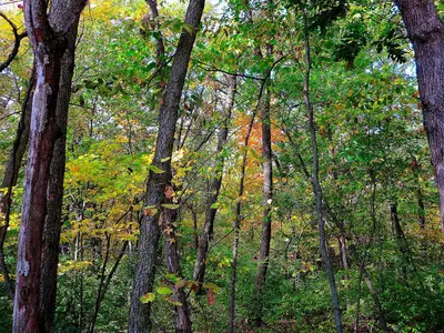 Ice Age Trail during Autumn - panoramio