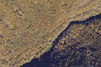 Anthony Creek Campsites