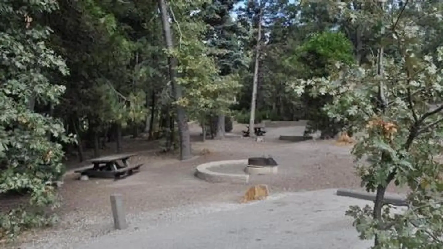 Family seating around fire ring at Dogwood Campground