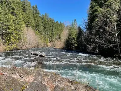 A wide and fast-moving river is shown. There is a rocky bank nearby while the bank further along is lined with trees.