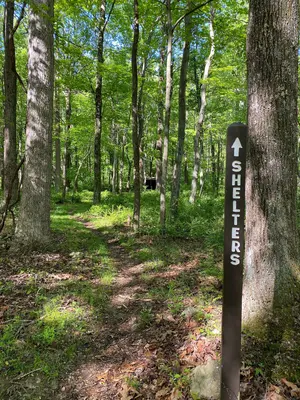 Catoctin Mountain Park - 52902678598